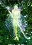 The Fairies Queen By Gilbert Williams