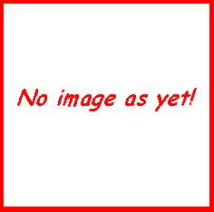 No image at the moment.