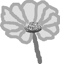 flower5