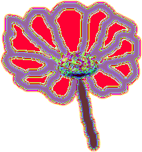 flower6