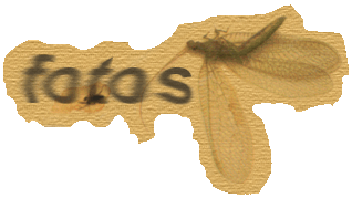 fotostitulo.gif (26511 bytes)