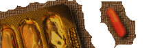 mapcajapepa.gif (12487 bytes)
