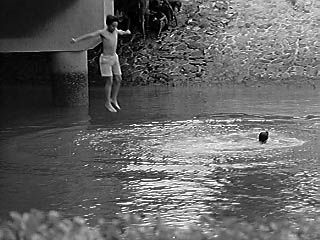 dive1.jpg