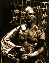 stel.gif (14775 bytes)