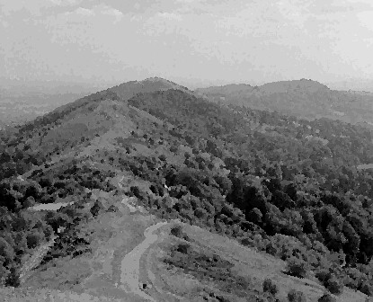 <the hillside>