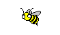 Bazil