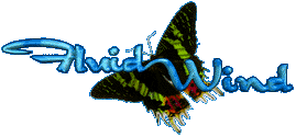 FluidWind Origional Music