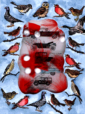 click on this image to see larger image