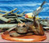nest.jpg (27082 bytes)