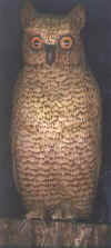 owl.jpg (11401 bytes)