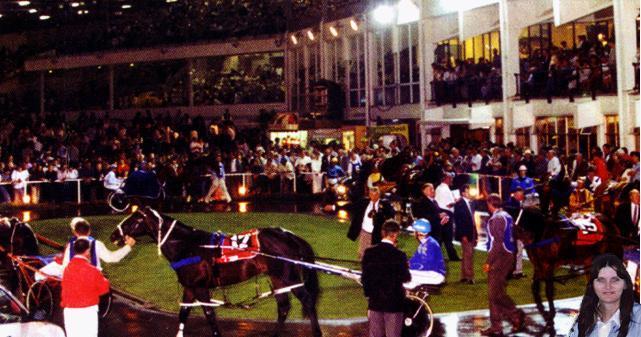 The Parade Ring, Alexandra Park Raceway,
Auckland, New Zealand