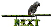Next