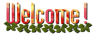 Welcome !