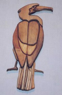 A Cormorant