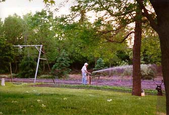 Dad in the garden