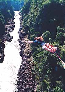 bungi in africa