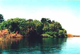 Okavongo Swamps