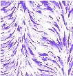 Fur