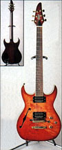 ESP HR-custom