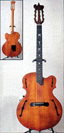 ESP Közi custom