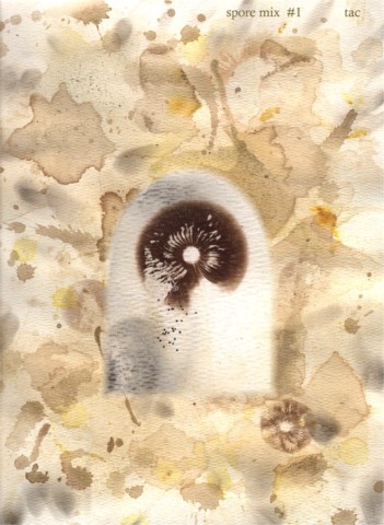 Calvatia rubroflava, Clitocybe nuda, Psathyrella foeniseci, Fuligo septica