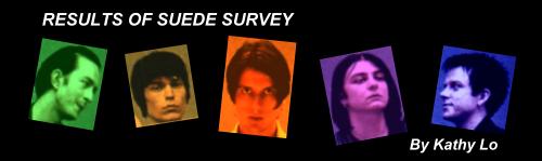 Suede Banner! Costed me great deal of time!!
