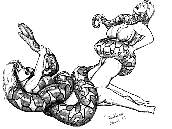 Double Team
