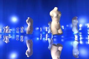 Ven�s in the Mirrors