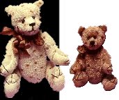 raggy bears