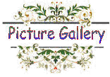 Picture Gallery
