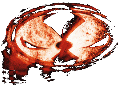 Spawn