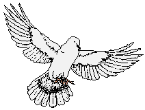 Dove