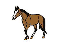 Schritt-Pferd.  (11347 Byte)