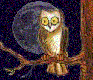 owl.gif (33879 Byte)