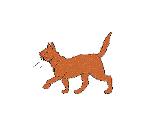 walking_cat.gif (14930 Byte)