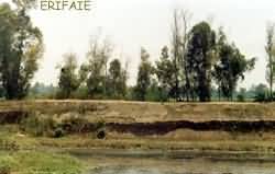 Countryside (Delta)