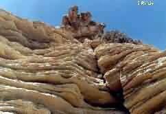 AGEIBA ( Marsa Matrouh)