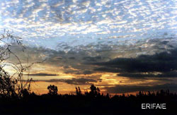 Countryside sunset