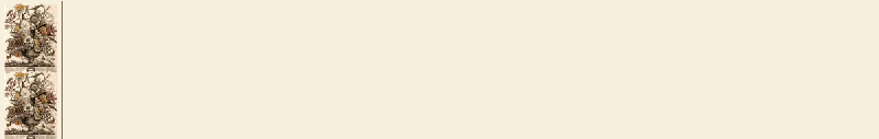 Flower Beige Colored Border: