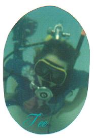 tdive.jpg
