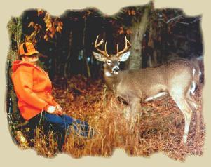 deer.JPG