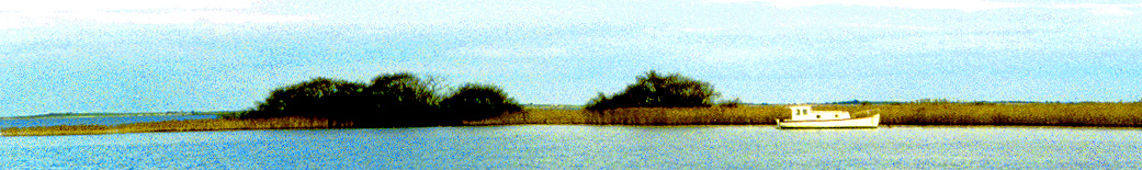 The little boat