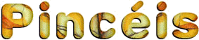 Pinc�is