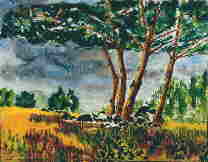 Bosquet d'arbres