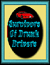 The Survivors Of Drunk Drivers Ring
