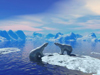 Les ours