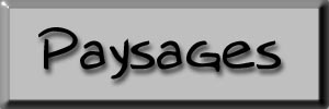 Paysages