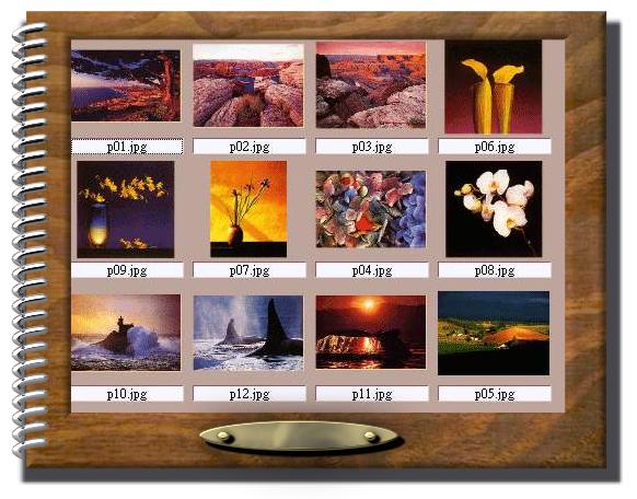 �M������