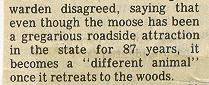 /user/moose.jpg