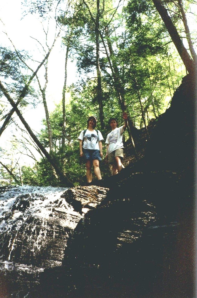 pete and tracy / woods